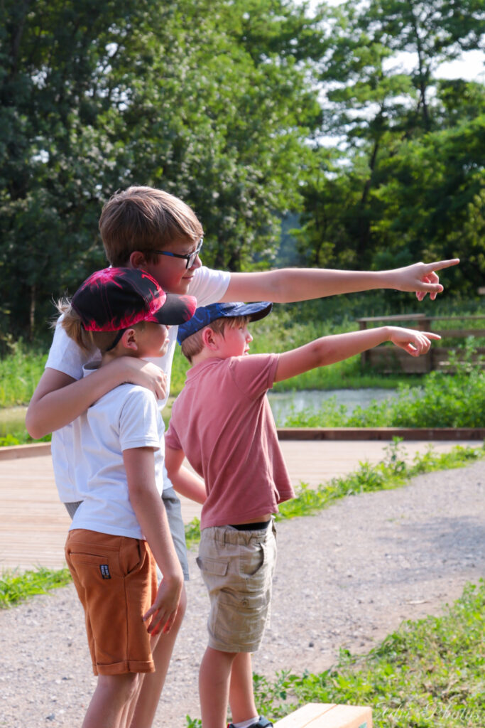 Trois enfants frères regardant l'horizon